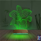 Orkide Çiçek 3D Lamba - Masa Gece Lambası