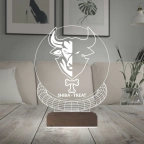 Crypto Shiba Treat Coin Kripto Finans 3D Lamba - Masa Gece Lambası