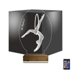 Jimnastik Kişiye Özel 3D Lamba - Masa Gece Lambası