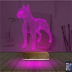 Köpek Boxer Kişiye Özel 3D Lamba - Masa Gece Lambası