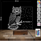 Baykuş Kuş Tasarım Kişiye Özel 3D Lamba - Masa Gece Lambası