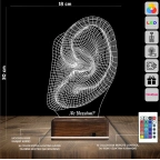 Kulak İşitme Tasarım Kişiye Özel 3D Lamba - Masa Gece Lambası