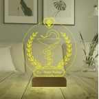 Eczane Logolu Eczacı Hediye Kişiye Özel 3D Lamba - Masa Gece Lambası